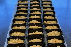 MacCheese